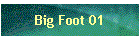 Big Foot 01