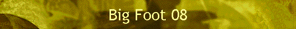 Big Foot 08