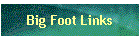 Big Foot Links