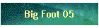 Big Foot 05