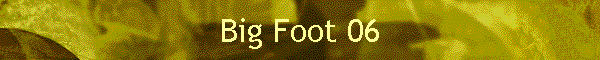 Big Foot 06