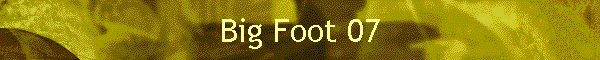 Big Foot 07