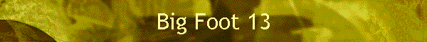 Big Foot 13