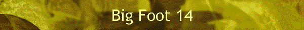 Big Foot 14