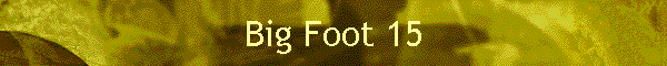Big Foot 15