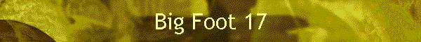 Big Foot 17