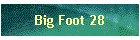 Big Foot 28